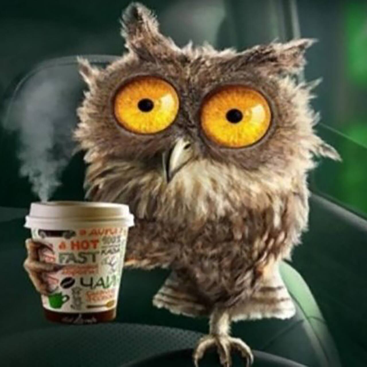 Sparkly Selections Java Owl Diamond Painting Kit, Square Diamonds